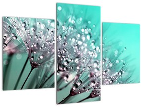 Tablou - planta cu rouă (90x60 cm)