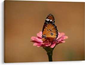 Tablou cu fluture pe floare (70x50 cm)