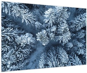 Tablou - Pădure înzăpezită (90x60 cm)