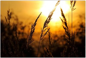 Tablou - Apus de soare (90x60 cm)