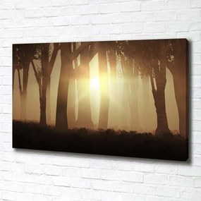 Imprimare tablou canvas Ceață în pădure