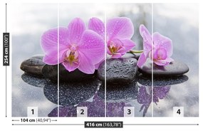 Fototapet Orchid Stones