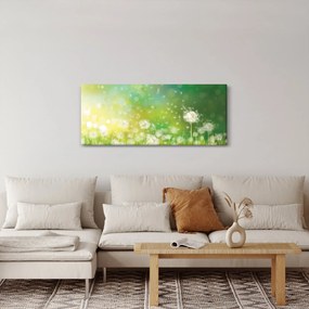 Tablou - Păpădie înflorită (120x50 cm)