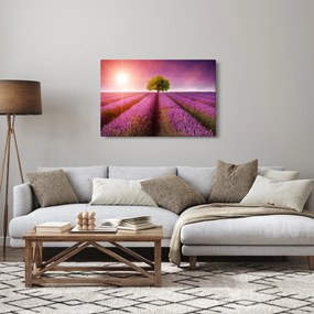 Tablou câmp cu lavandă (90x60 cm)