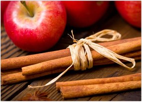 Tablou - Scorțișoară (70x50 cm)