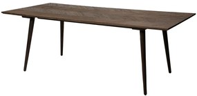 Masă de dining cu aspect de lemn de ulm 100x220 cm Bone – DAN-FORM Denmark