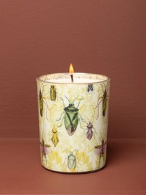 Lumanare parfumata "Bugs"
