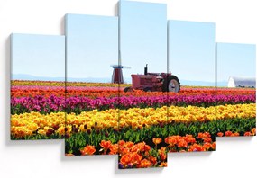 Tablou cu farma de lalele (150x105 cm)