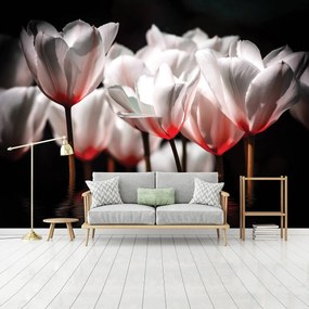 Fototapet - Flori - tonul roșu (152,5x104 cm)