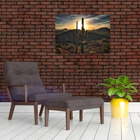 Tablou pe sticlă - cactușii la soare (70x50 cm)