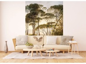 Fototapet Old Trees 180 x 255 cm, 2 părți