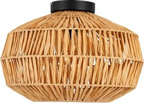 Eglo 44142 - Plafonieră SHELDON 1xE27/40W/230V, maro