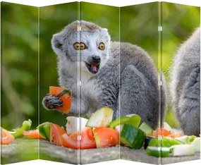 Paravan - Lemur (210x170 cm)