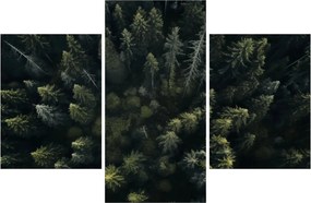 Tablou - Pădure (90x60 cm)