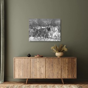 Tablou pe sticlă - Vulpe în timpul iernii (70x50 cm)