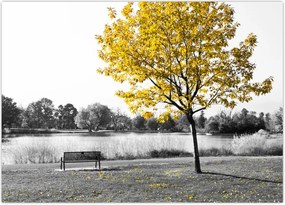 Tablou - relaxare în parc (70x50 cm)