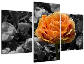 Tablou cu floare (90x60 cm)