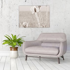 Tablou pe sticlă - Ciulinul în timpul iernii (70x50 cm)