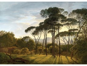 Fototapetă XXL Old Forest 360 x 254 cm, 4 părți
