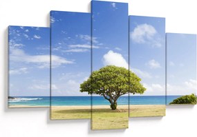 Tablou plaja cu copac (150x105 cm)
