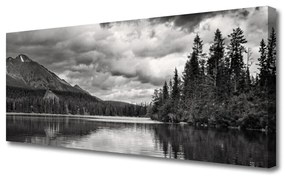 Tablou pe panza canvas Mountain Forest Lake Nature Gray