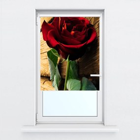 Fotojaluzele R013403R57150 (57x150 cm)