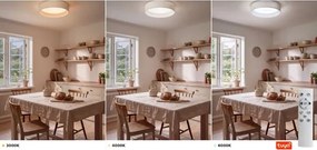 Brilagi - Lampă LED reglabilă smart, mare, pentru tavan 36W/230V 3000-6000K diametru 55 cm albă WT + telecomandă