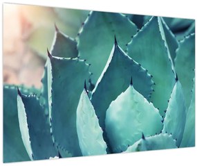 Tablou - Suculent (90x60 cm)