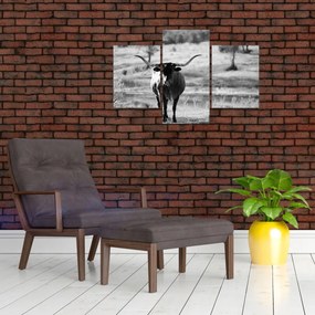 Tablou - Vacă,alb-negru (90x60 cm)