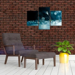 Tablou - Macro (90x60 cm)