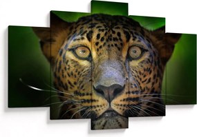 Tablou - Portretul leoparduslui, Sri Lanka (150x105 cm)