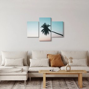 Tablou - Palmier la Bali (90x60 cm)