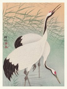 Reproducere Two Cranes, Ohara Koson