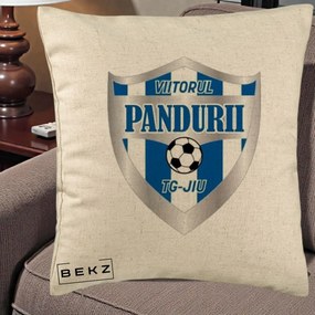 Perna Personalizata Pandurii Targu Jiu Fotbal, 40x40 cm, Bej, Husa Detasabila, Perna Inclusa, BEKZ®
