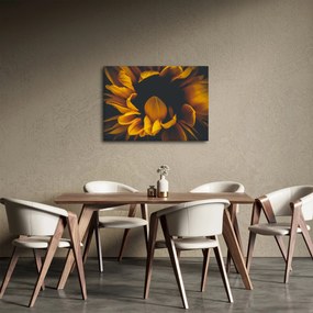 Tablou - Floarea-soarelui în fundal negru (70x50 cm)