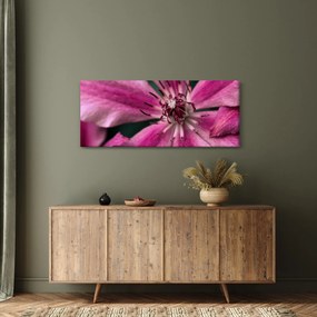 Tablou cu floarea roz de clematis (120x50 cm)