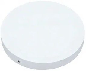 Plafoniera LED 1 bec 24W IP65 CCT NORTON 071-016-0024 HOROZ