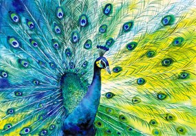 Fototapet - Păun (147x102 cm)