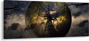 Tablou - Cerul enigmatic (120x50 cm)