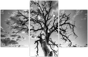 Tablou - Copacul, alb-negru (90x60 cm)