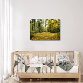 Tablou pe sticlă - pădurea toamna (70x50 cm)