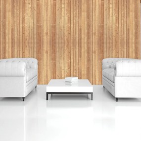 Fototapet - Textura - scănduri de lemn (152,5x104 cm)