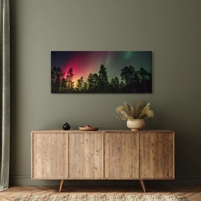 Tablou cu Northern Lights (120x50 cm)