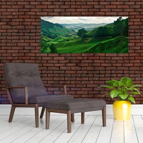 Tablou Plantații de ceai - Malaezia (120x50 cm)
