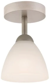 Lustr ADRIANO 1xE27/60W/230V, přisazený model