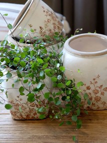 Ghiveci crem, din ceramica, cu motive florale, H13/D12cm, Chaville