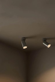 Aplica perete sau tavan cu spot directionabil Stan, aluminiu/negru
