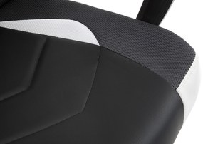 Scaun de birou/ Gaming Fiero (alb). 1071057