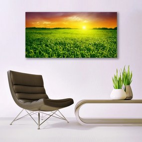 Tablou pe panza canvas Cereale Câmp Sunrise Floral Verde Roșu