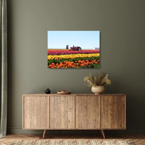 Tablou pe sticlă cu farma de lalele (70x50 cm)